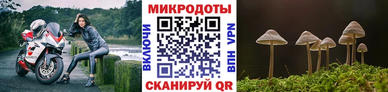 Псилоцибиновые грибы мухоморы  купить   Кисловодск 